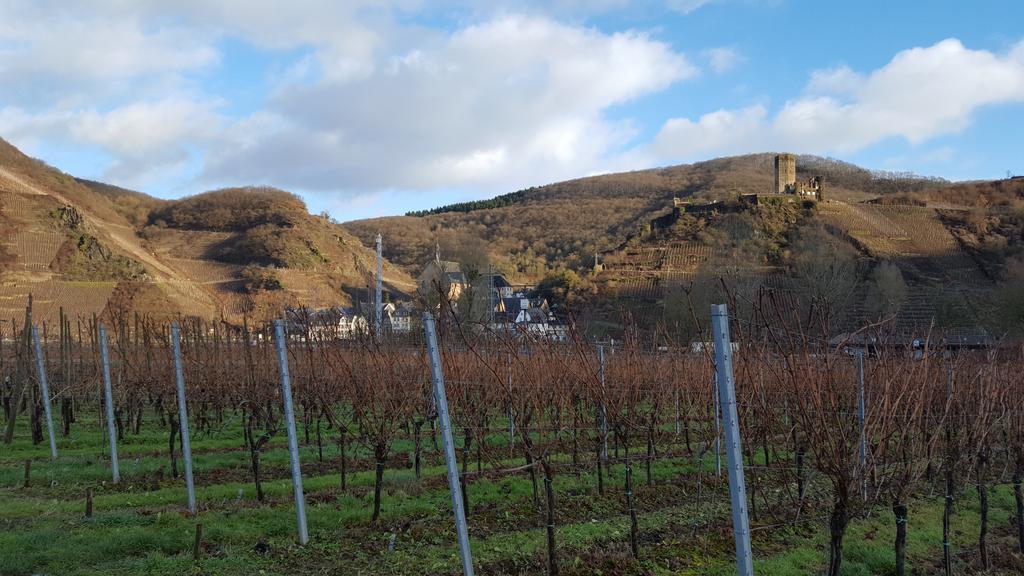 Отель Ferienweingut Arnold Fuhrmann & Sohn Элленц-Польтерсдорф Экстерьер фото